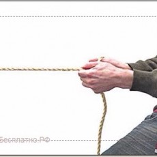 Казак П.С., ИП