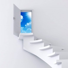 ИП Базылюк Ю. С.