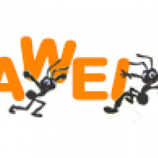 мирончук н н ,ип