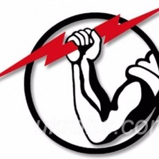 Скрипников А.И., ИП