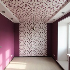 Лапенков Д.С.