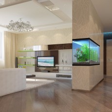 Ольшевский А.М. ИП