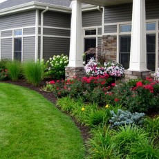 Фираго В.А. ,ИП