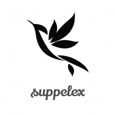 ООО Апекс просперити