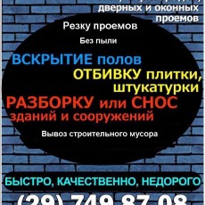 Шайтор В Н ип