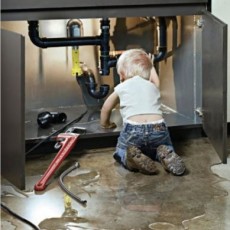 ИП Сенюта В.Н.