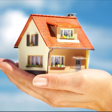 Медведев М.П ИП