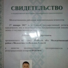 Дубовик С.С. ИП