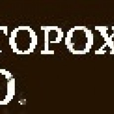 Горохов Антон Олегович